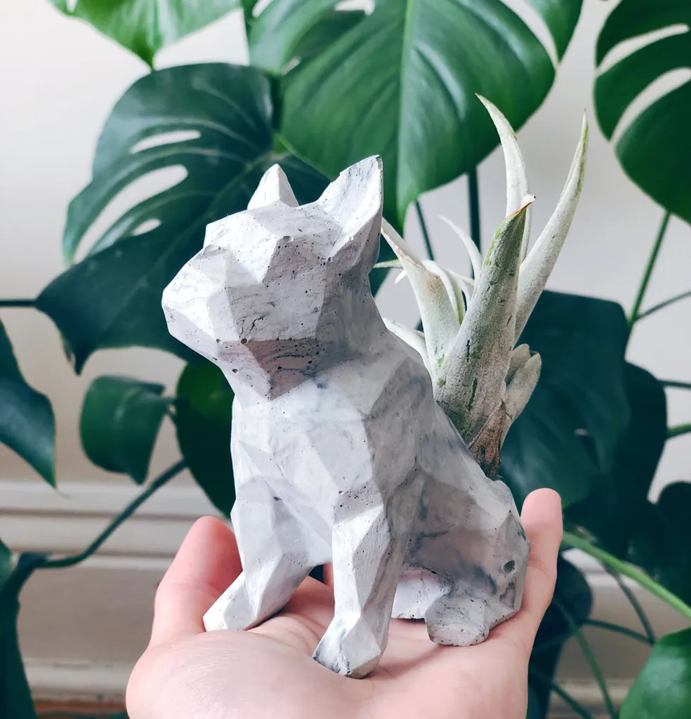Bulldog Geometric Planters photo 1