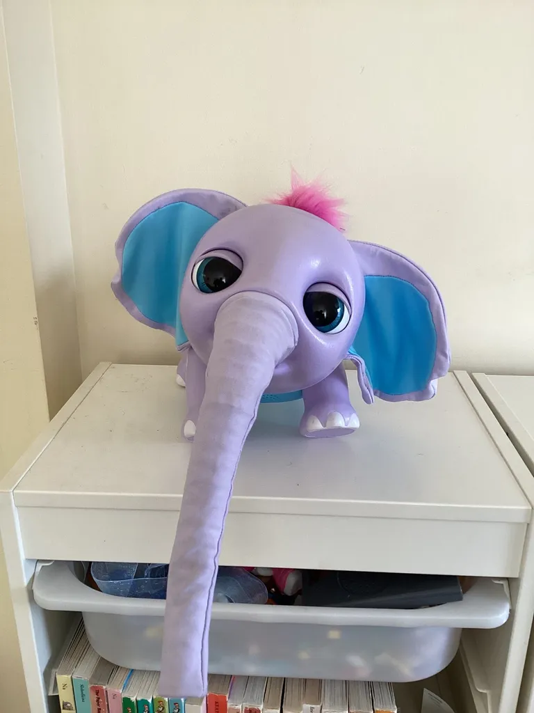 Juno Baby Elephant photo 1