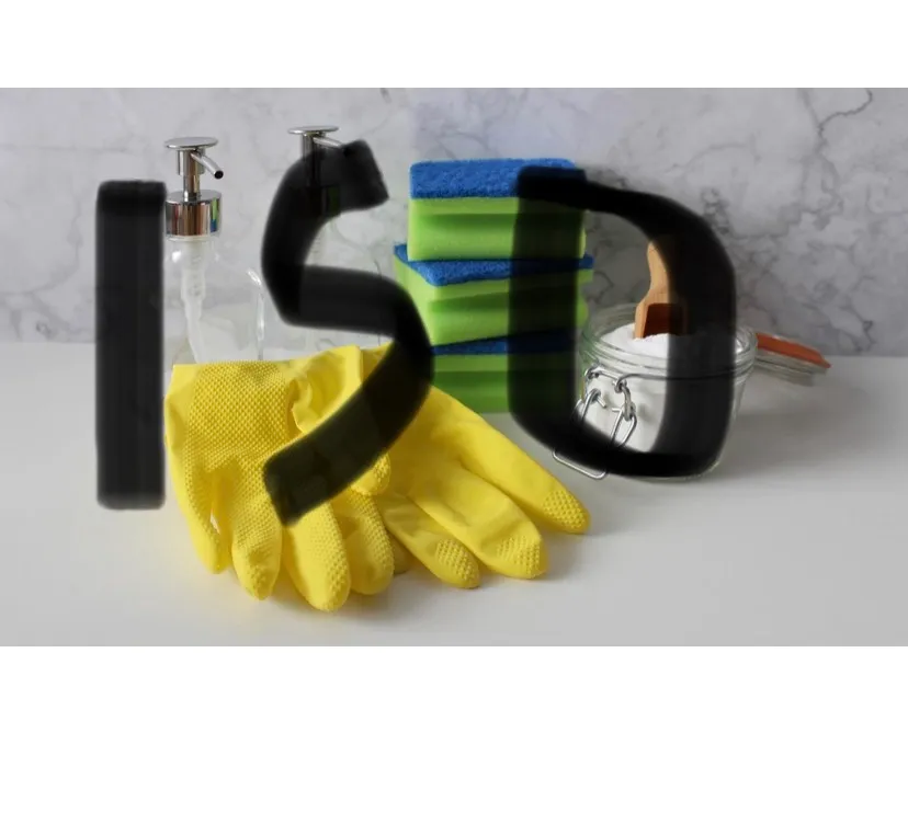 IS0: Housecleaning Services photo 1