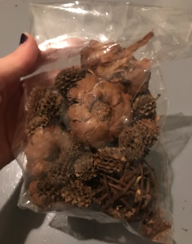 Decorative Plant Things photo 1