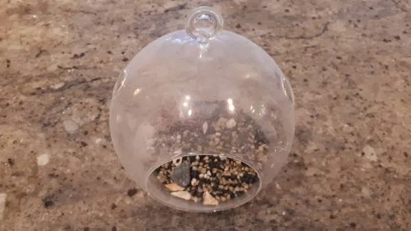Glass Terrarium photo 1