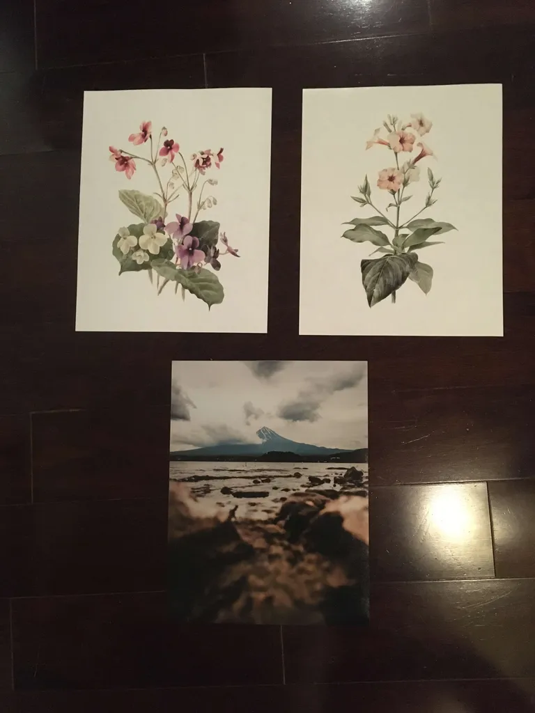 Flower & Mountain Prints - 11x14 photo 1