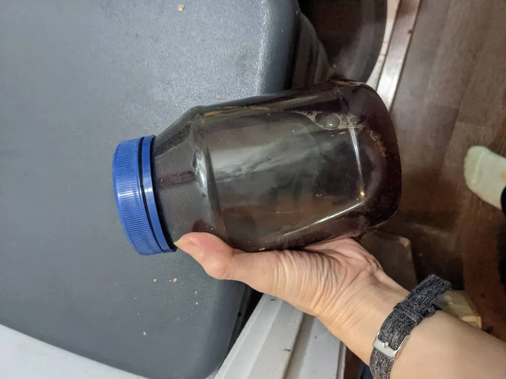 Compost Tea From My Red Wrigglers photo 1