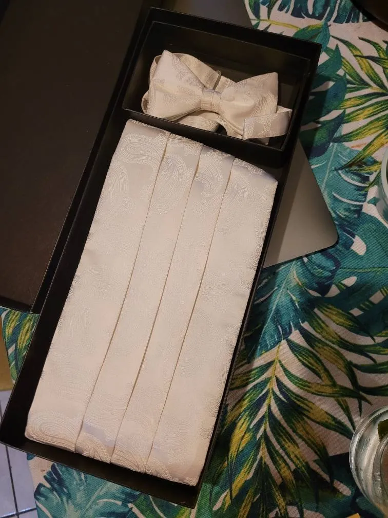 Bow Tie And Cummerbund photo 1