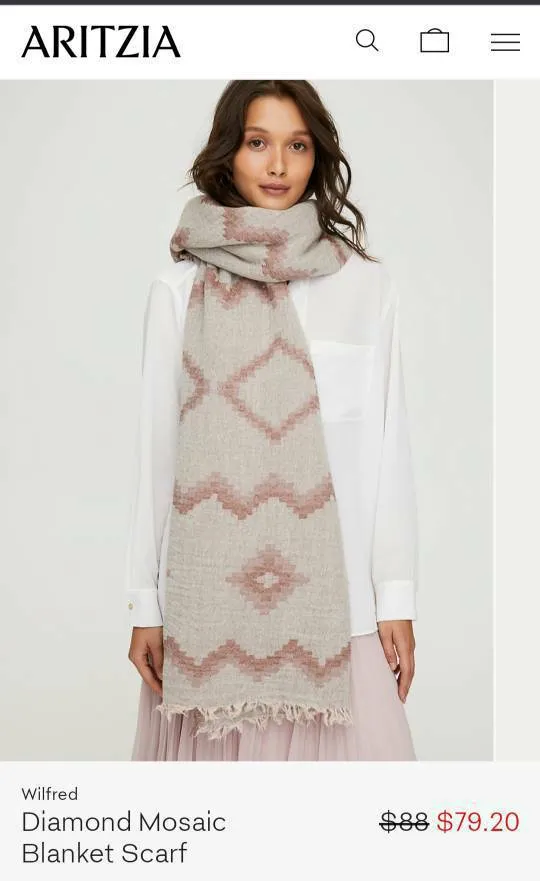 Aritzia Blanket Scarf photo 1