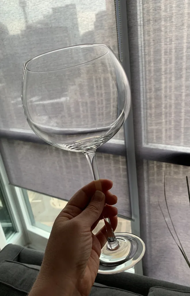 Large Novelty Wine Glass 🍷 photo 1