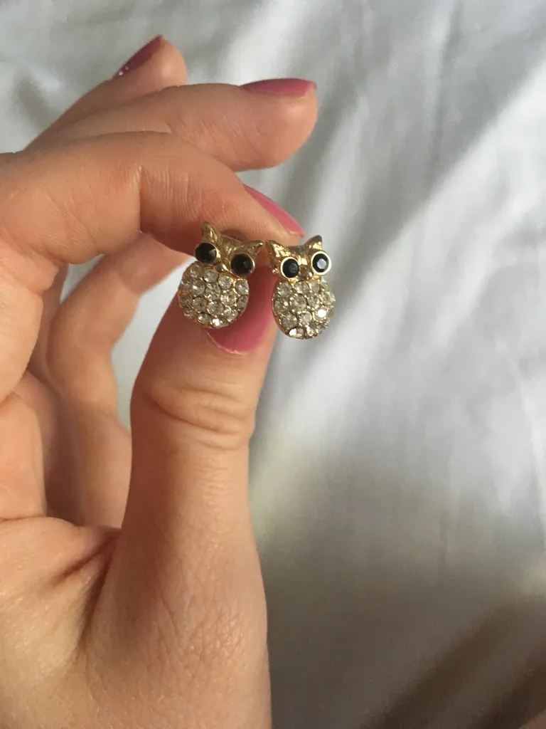 Owl Earrings photo 1