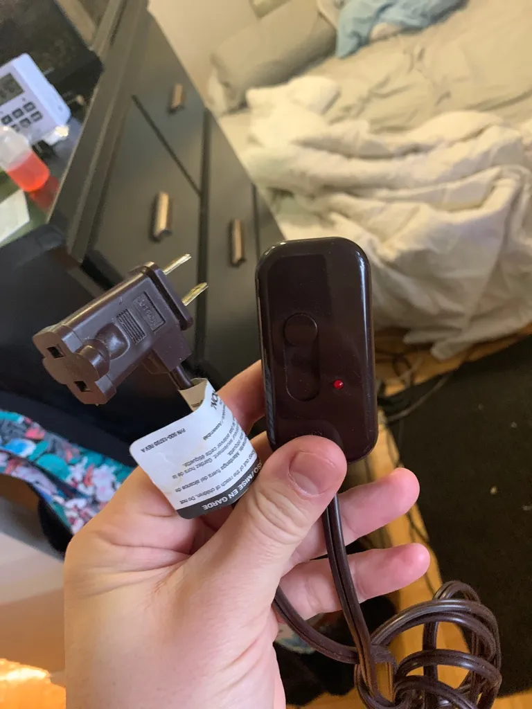 Iso More Of These Dimmer Fellas photo 1