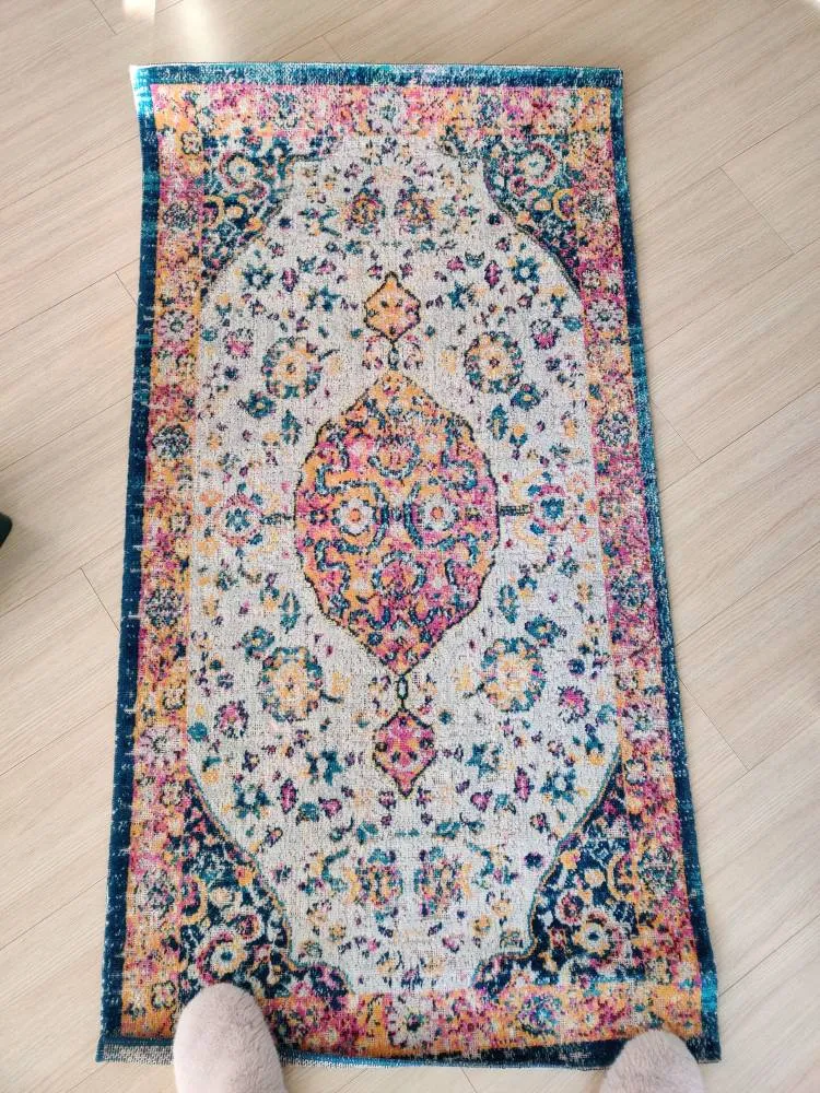 Indoor Outdoor Rug photo 1