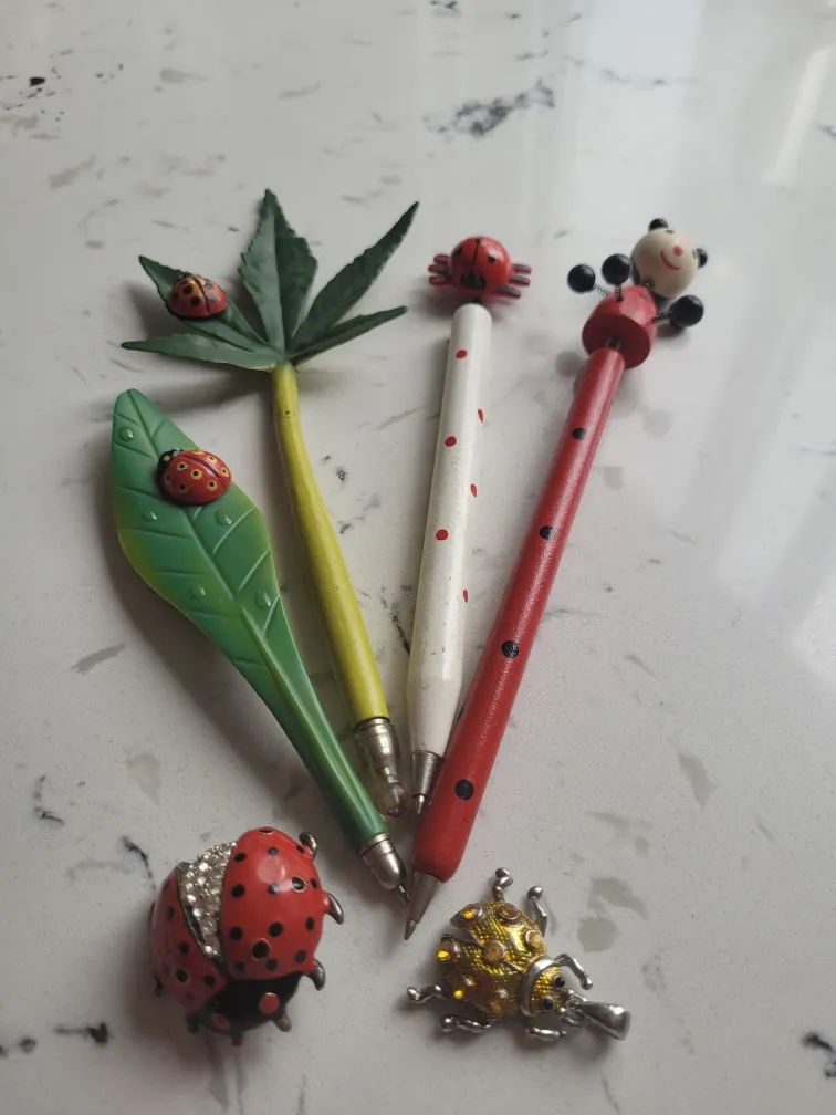 Ladybug Pins And Pens photo 1