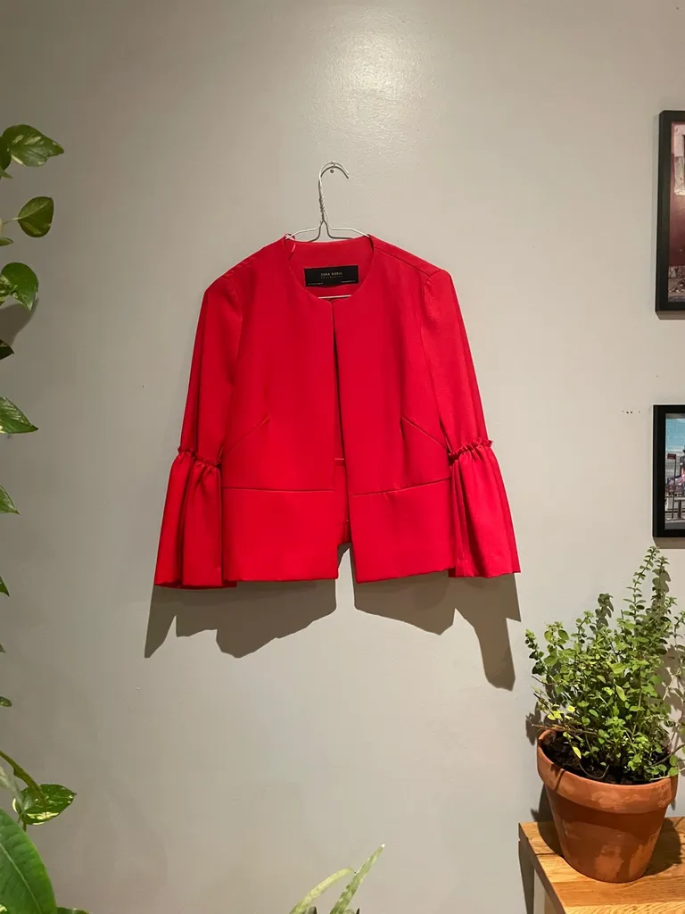 Red Zara Blazer (Small) photo 1