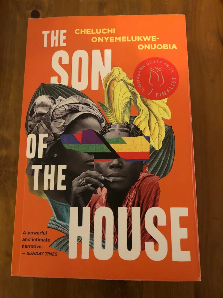 The Son Of The House - Cheluchi Onuobia photo 1
