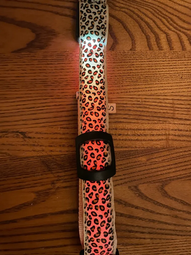 Light Up Dog Collar photo 1