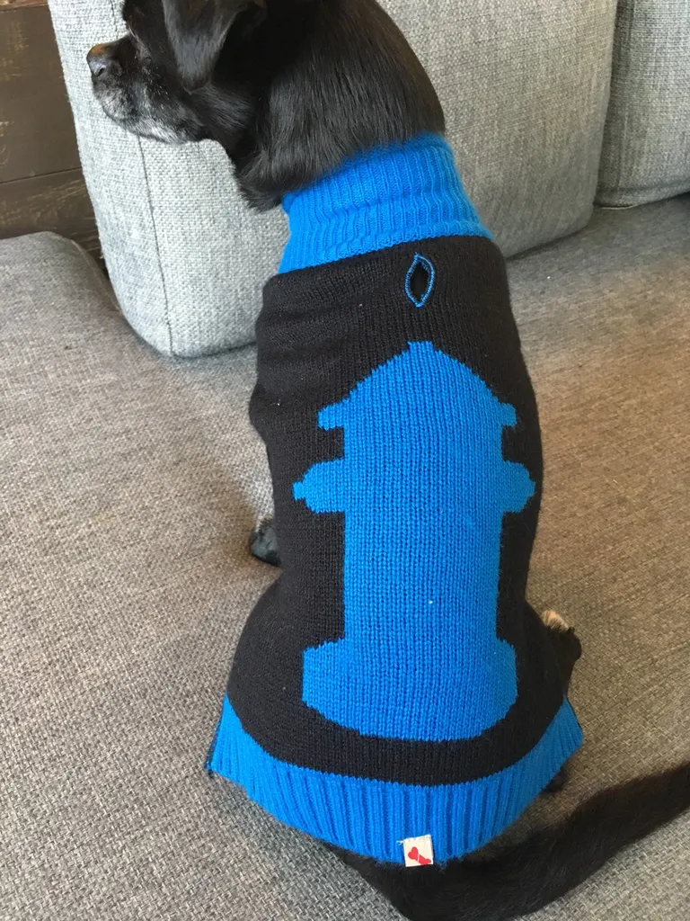 Dog Sweater Small photo 1