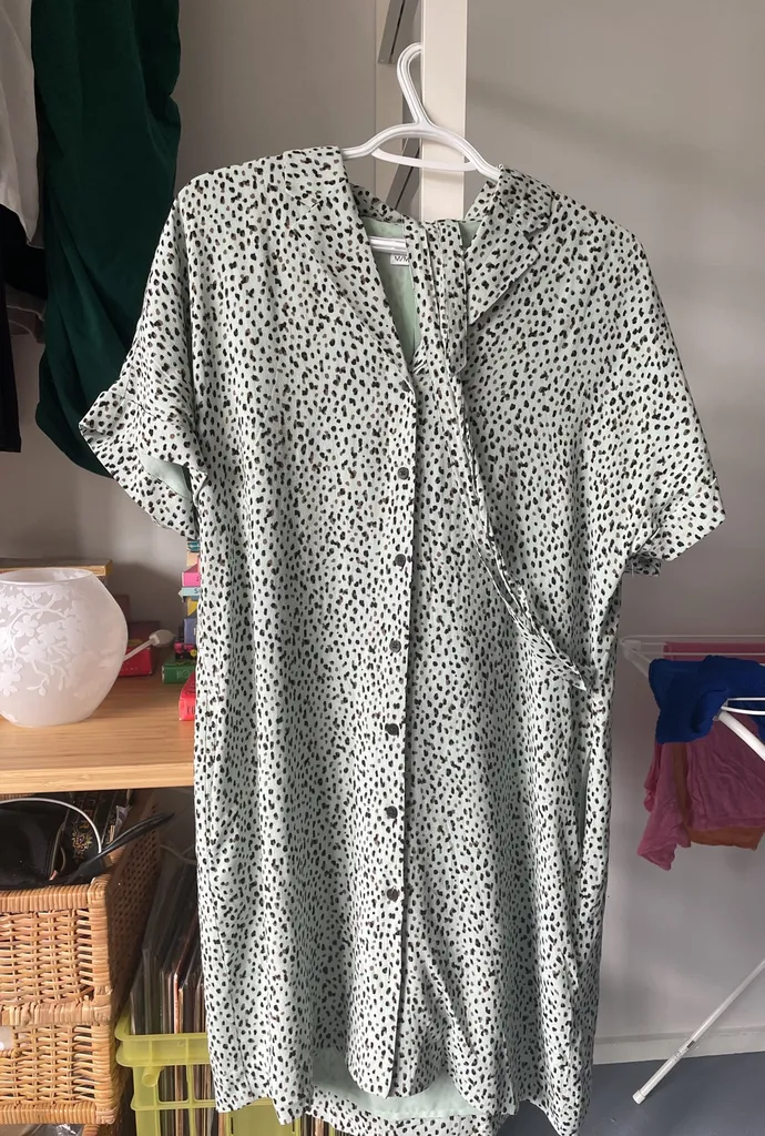 Frank And Oak Dress photo 1