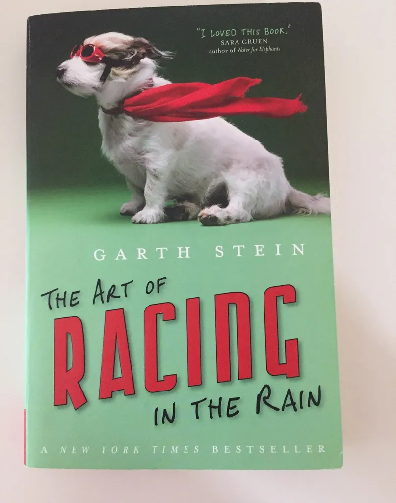 The Art Of Racing In The Rain By Garth Stein photo 1