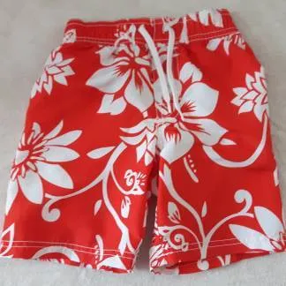 Boys 2T Swim Trunks photo 1