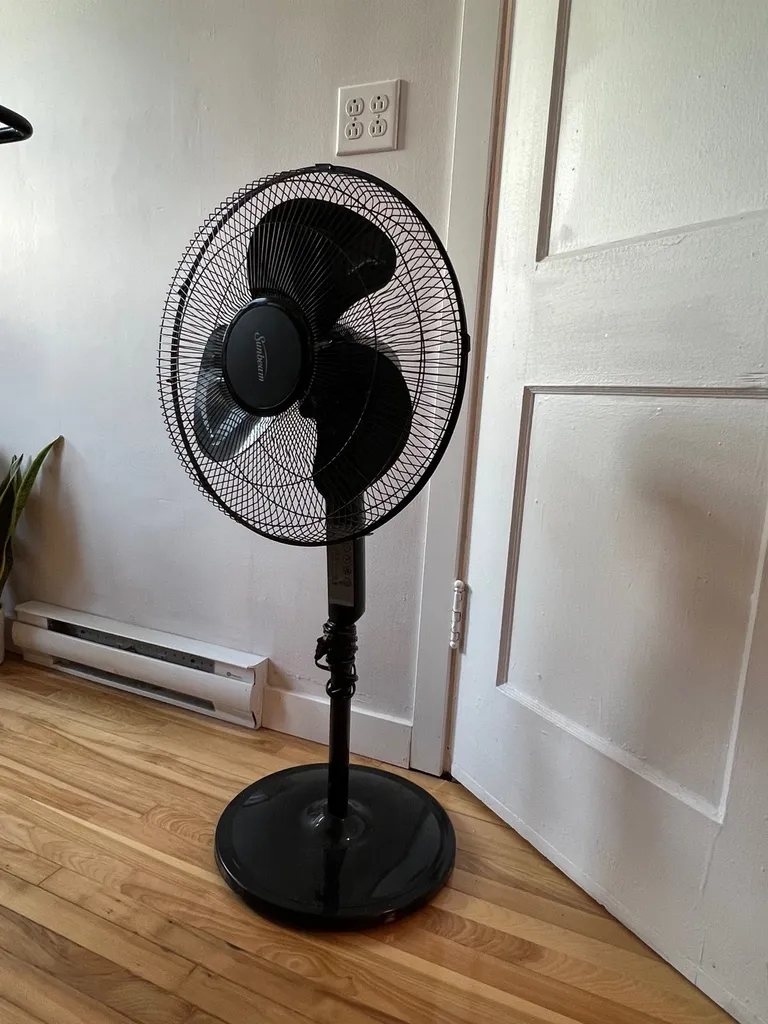 Sunbeam Oscillating Fan photo 1
