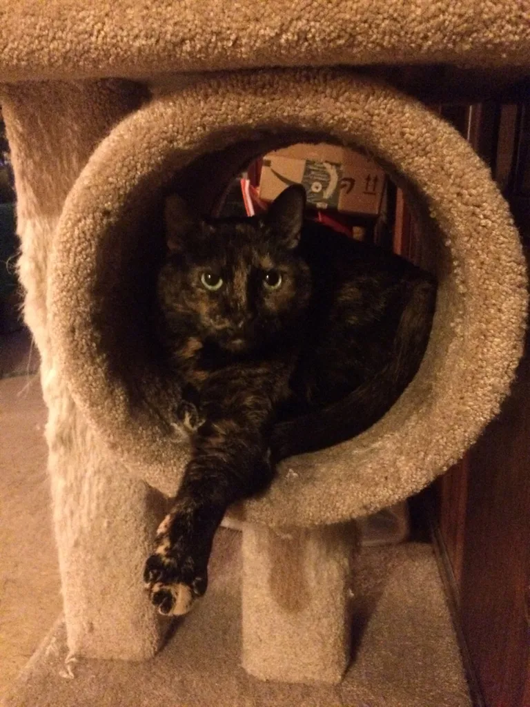 TRUE TRADING photo 1