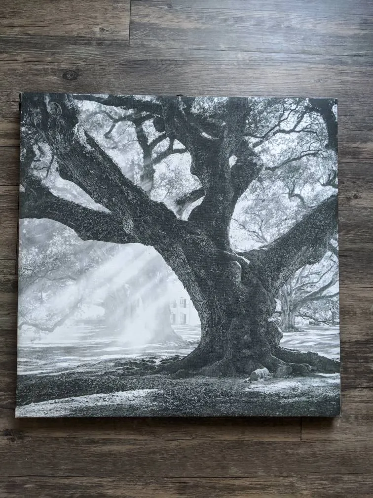 Tree Canvas, Black And White photo 1