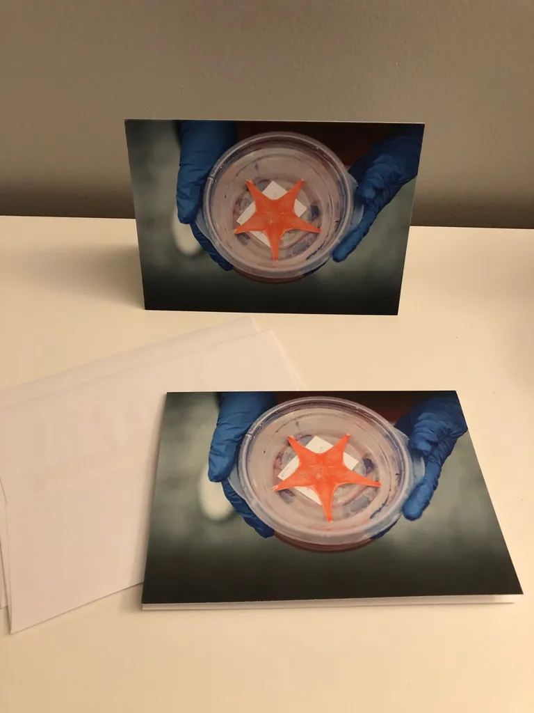 FREE Blank Greeting Cards photo 1