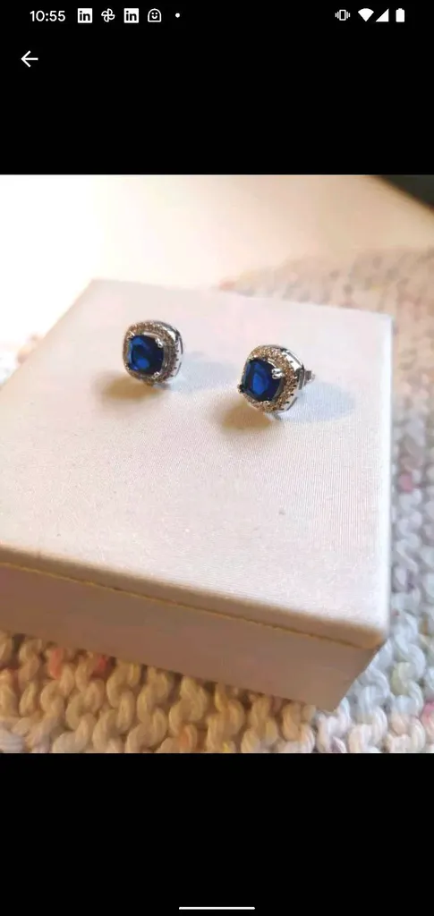 Sterling Silver Earrings photo 1