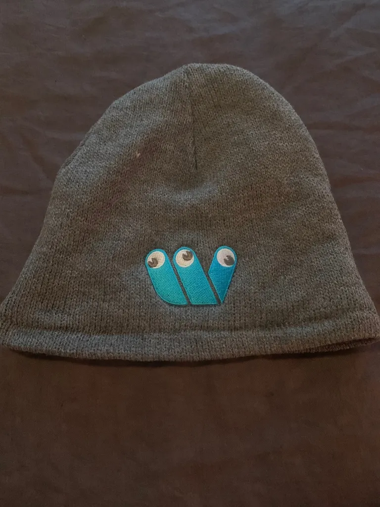 Never Worn Grey Toque photo 1