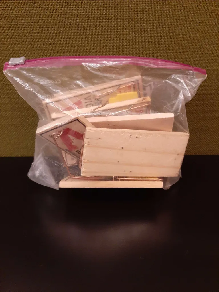 9 wooden mousetrap photo 1