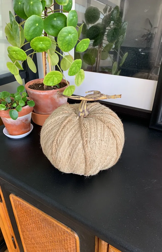 Fall pumpkin Decor photo 1