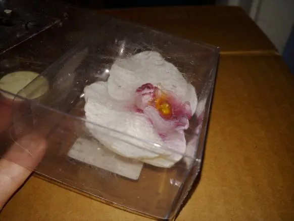 2 Orchid Candles - Unscented photo 1