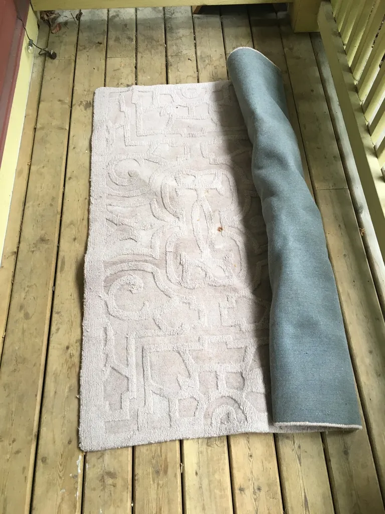 Free Large Light Pink Wool Rug photo 1