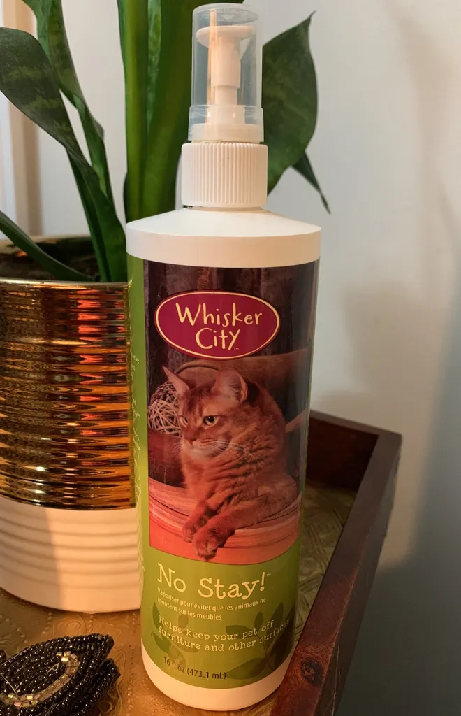 Whisker City No Stay! photo 1