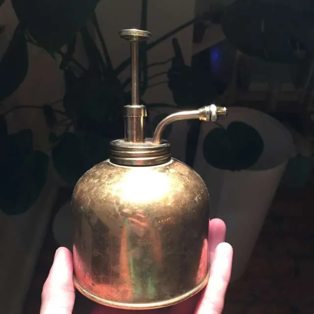 Brass plant Mister photo 1