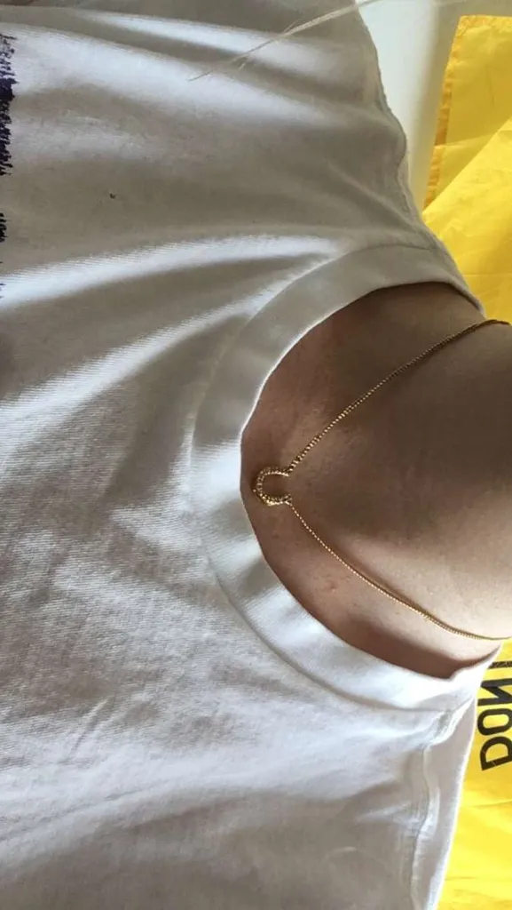 Horseshoe Necklace photo 1