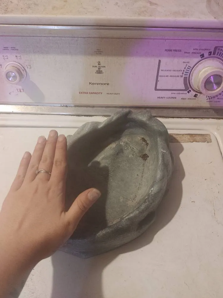 Reptile Stuff photo 1