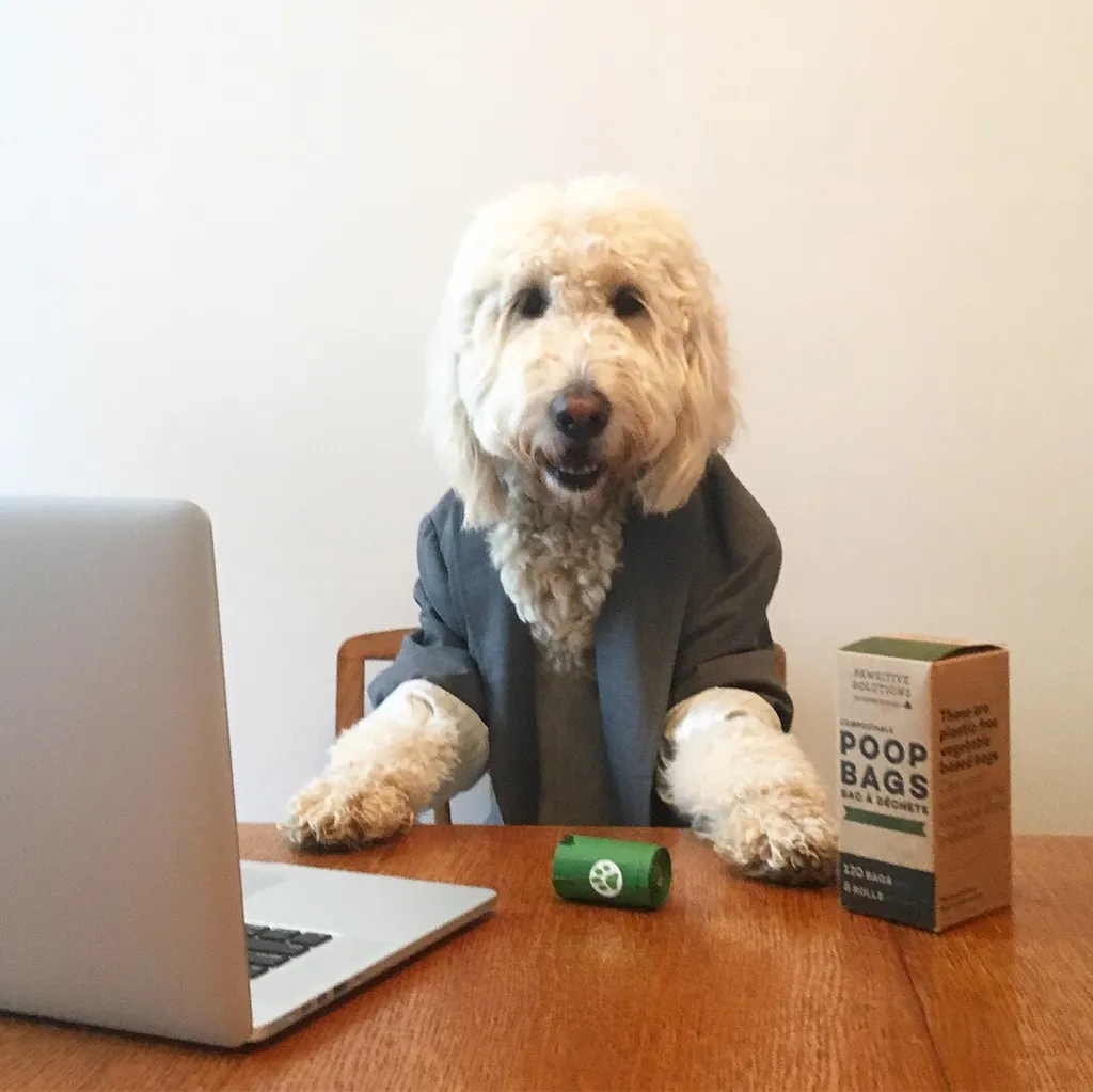 Compostable Dog Poop Bags -BPI certified vegetable based wast... photo 1