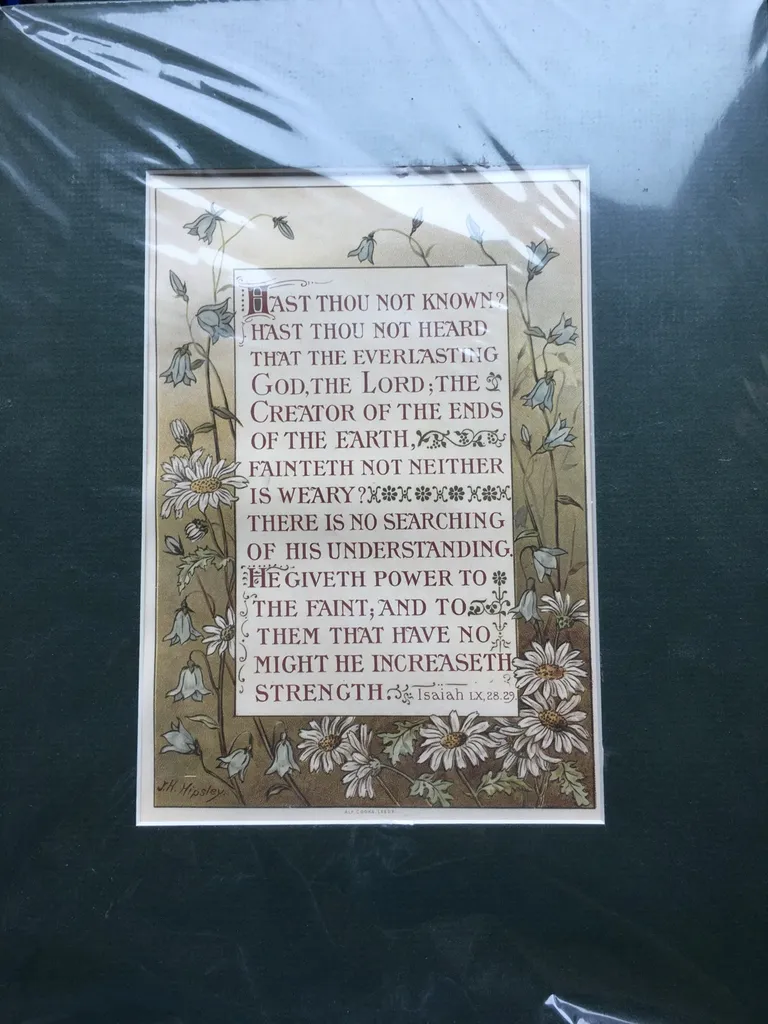 Chromolithograph 1896 photo 1