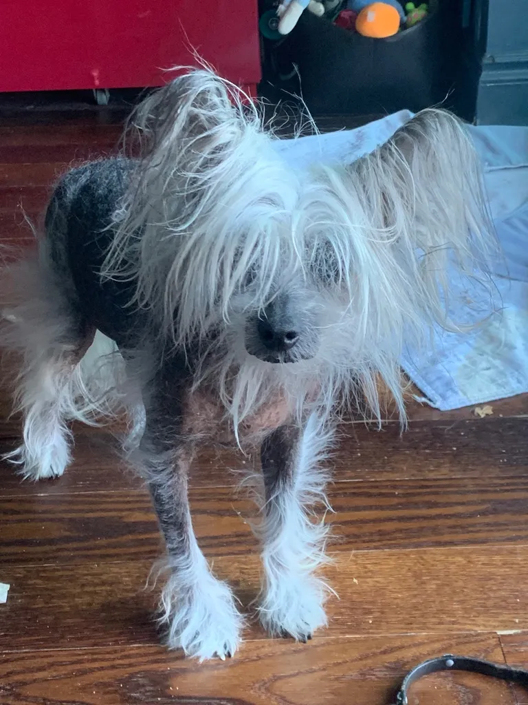 Inconsistent Responses photo 1