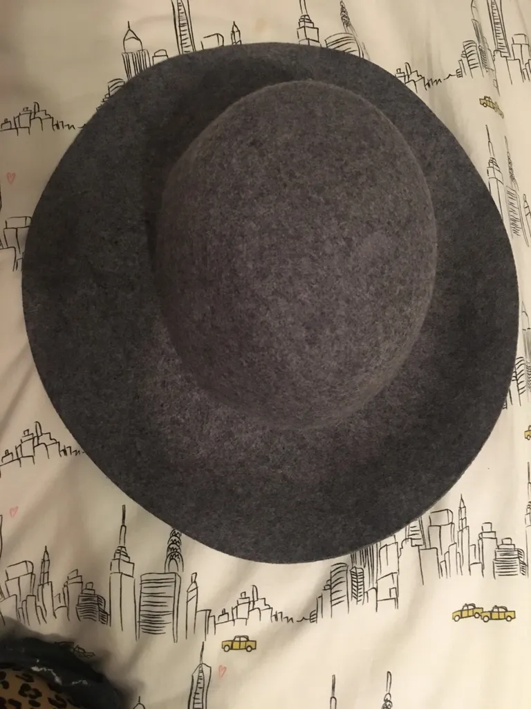 ALDO Grey Circle Hat photo 1