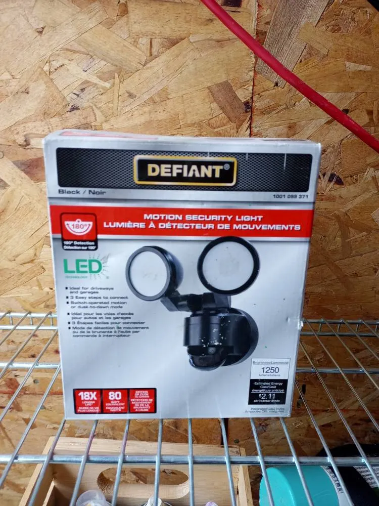 Motion Security Light photo 1