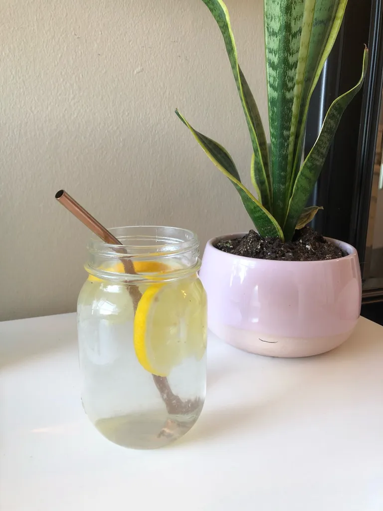 Mason Jar & Rose Gold Straw photo 1