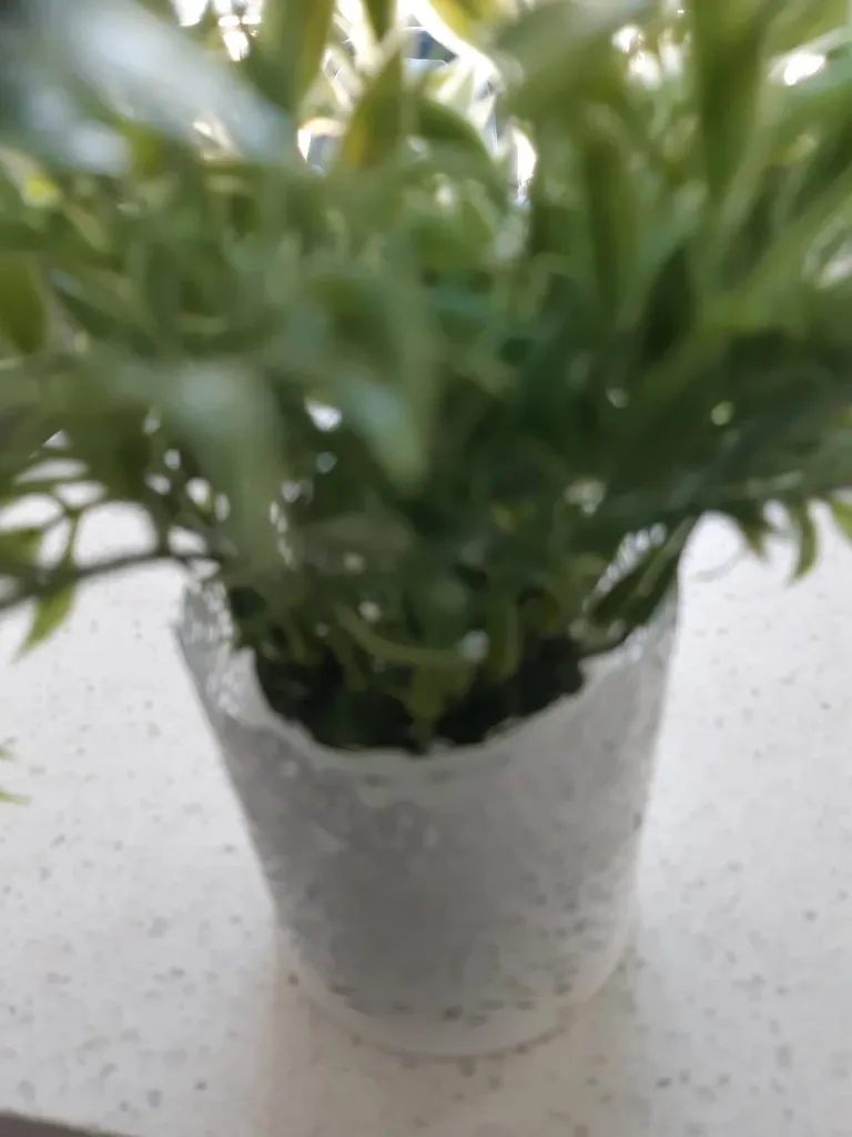 plastic plant photo 1