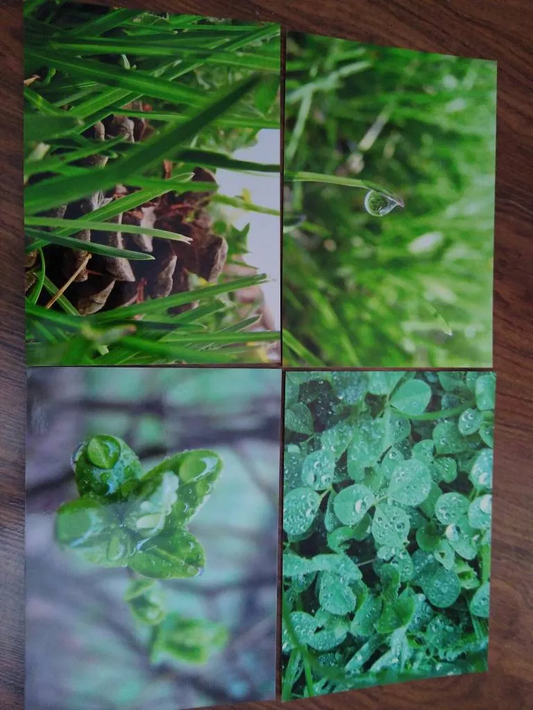 Green Photo Art photo 1