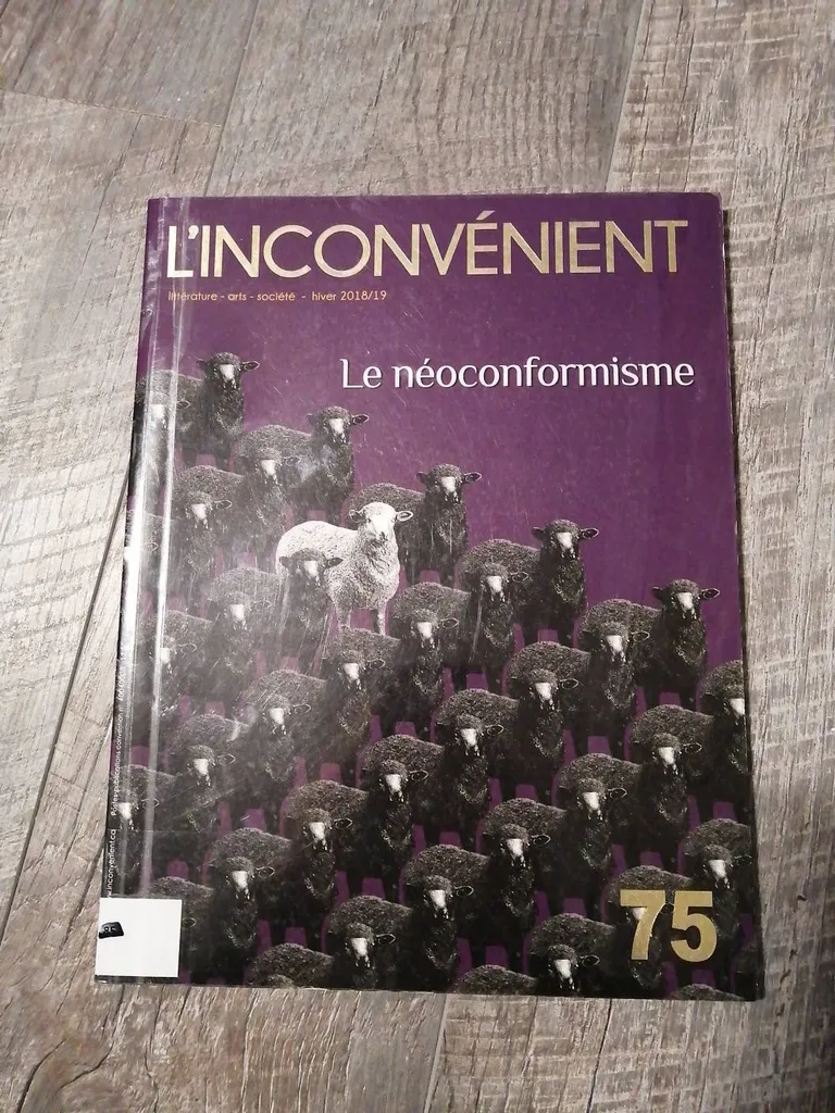 L'inconvénient Magazine photo 1