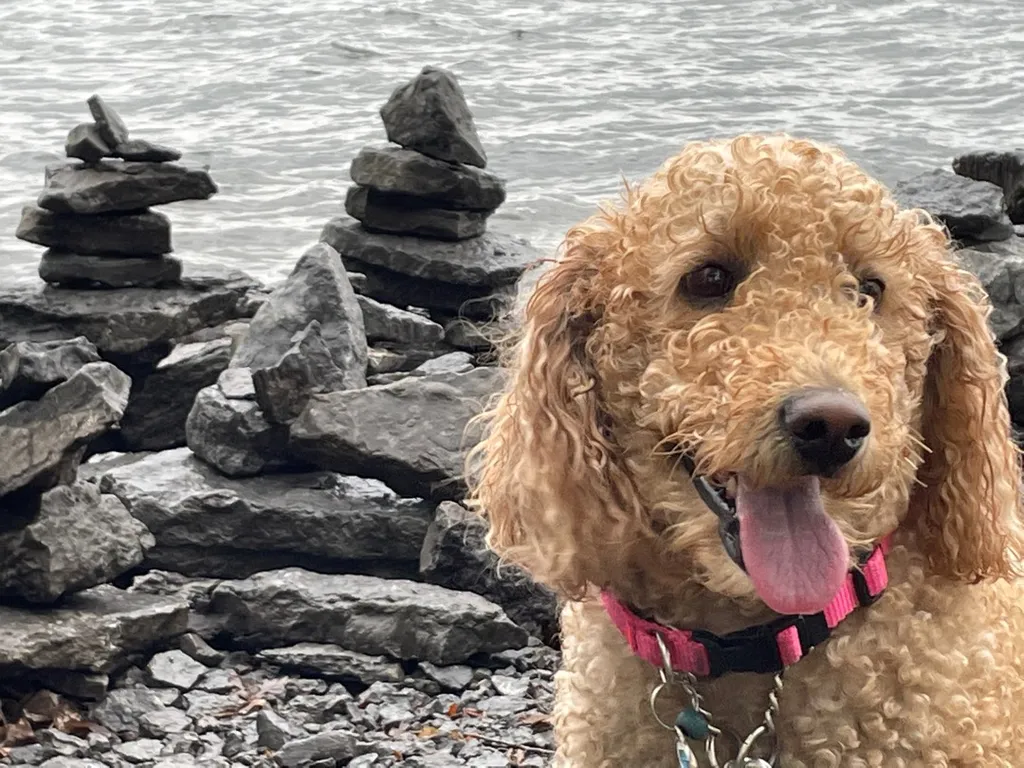 Bailey Just Wanted To Say 👋 To All Our Fav Bunz Friends photo 1