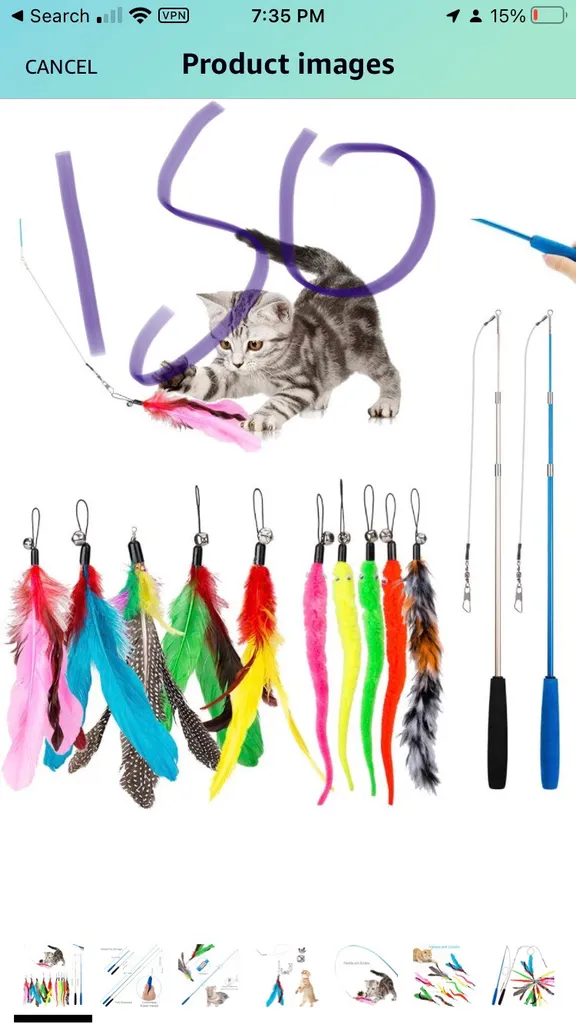 ISO Feathered Cat Toy photo 1