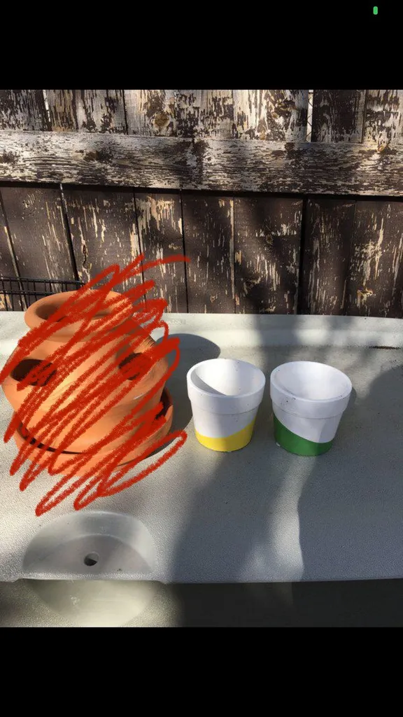 Plant Pots 🪴 photo 1