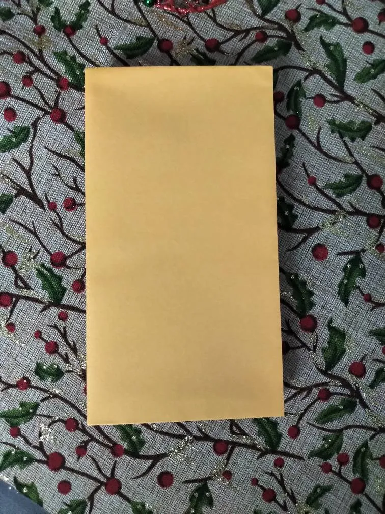 Coin/Cash Envelopes photo 1