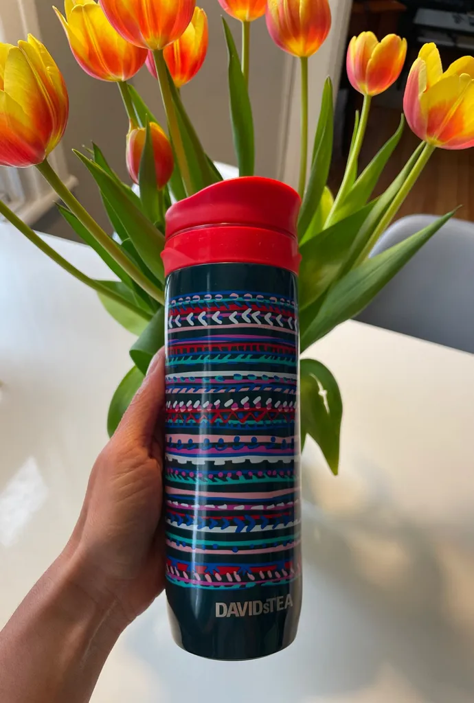 NEW  David’s Tea press Bottle photo 1