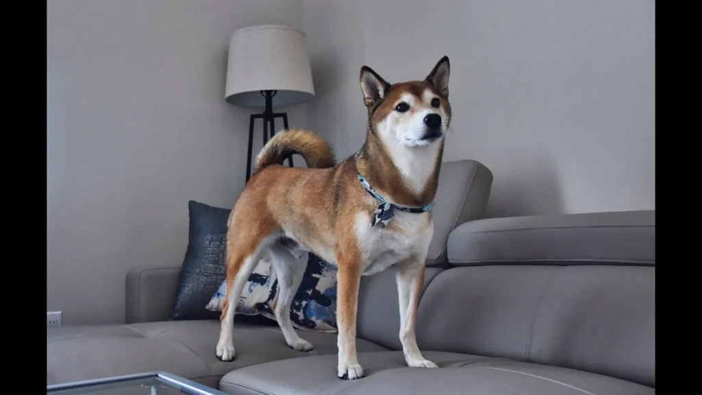 Amateur Photographer photo 1